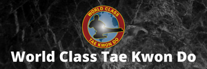 World Class Tae Kwon Do San Jose